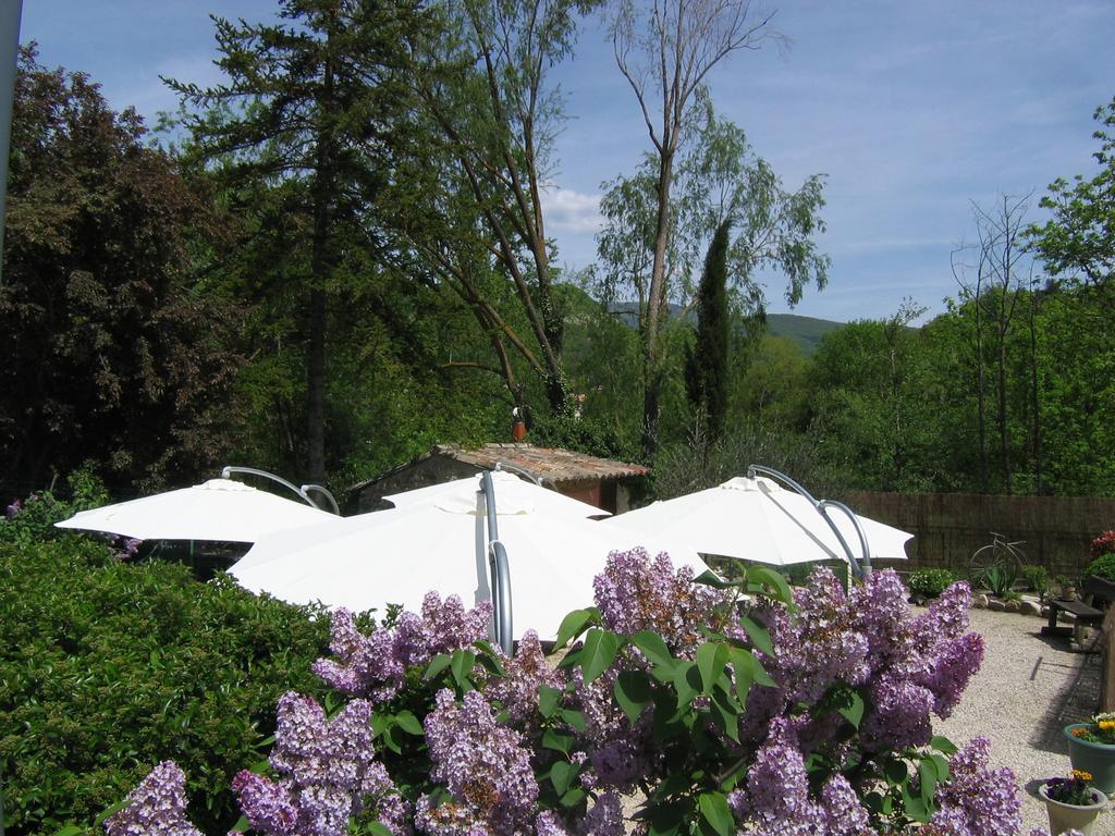 Auberge De Trente Pas Saint-Ferréol-Trente 외부 사진